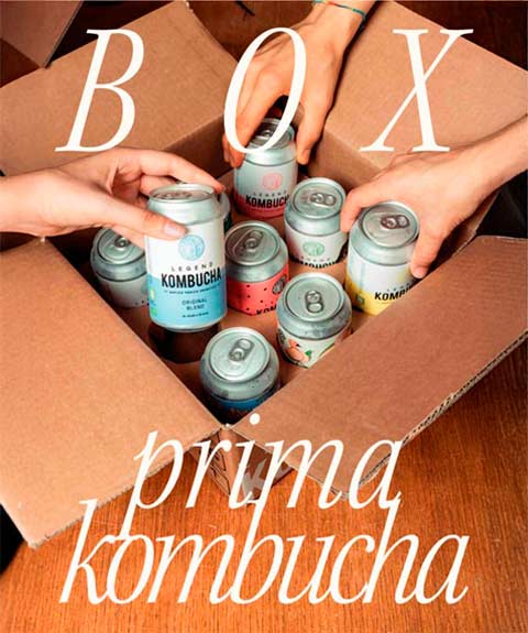 Box Prima Kombucha